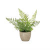 Potted Fern (Set of 3) 9.5”H Plastic