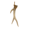 Antler (Set of 12) 5”H Resin