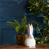 Bunny (Set of 2) 11.75”H Terra Cotta