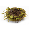 Nest and Nest with Eggs (Set of 4) 7"D x 3.5"H Natural/Foam