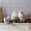 Winter Owl Decor (Set of 2)