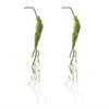 Foliage Vine (Set of 2) 40”L Plastic
