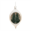 Ornament (Set of 6) 4.5"H, 5.5"H Glass