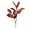 Magnolia Leaf Spray (Set of 6) (Set of 6) 45”H Plastic