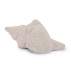 Shell (Set of 12) 2"H, 2.5"H, 3"H Resin