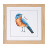 Framed Bird Print (Set of 8) 9.75”SQ MDF/Glass/Paper