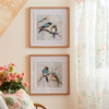 Framed Bird Print (Set of 2) 21”SQ Plastic/Paper