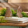 Etched Butterfly Shelf Sitter (Set of 4)