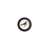 Wood Framed Encyclopedia Bird Print (Set of 3)