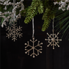 Jewel Snowflake (Set of 12) 3.5”H Iron/Glass