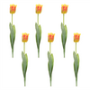 Tulip Stem (Set of 6) 27”H Polyester/Plastic