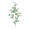 Blue Silver Dollar Eucalyptus Leaf Spray (Set of 6)