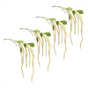 Amaranthus Stem (Set of 4) 53.25”H Plastic/Polyester