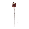 Protea Stem (Set of 6) 20”H Plastic