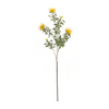 Protea Stem (Set of 6) 34.25”H Plastic/Flocking