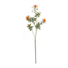 Protea Stem (Set of 6) 34.25”H Plastic/Flocking