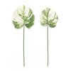 Philo Leaf (Set of 12) 28"H, 29"H Polyester