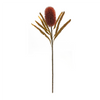 Banksia Stem (Set of 6) 24”H Plastic