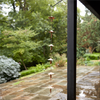 Mushroom Rain Chain 62"L