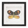 Butterfly Block (Set of 2) 6”SQ Wood/Acrylic