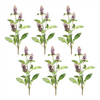Buddleia Stem (Set of 6) 29”H Polyester