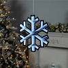 Snowflake Ekkolight 15.75”H Acrylic UL Plug
