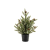 Potted Mini Pine Tree (Set of 2) 15"H, 20"H Plastic