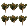 Magnolia Leaf Spray (Set of 6)