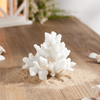 Coral (Set of 4) 4.5"H Resin