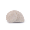 Shell (Set of 12) 2"H, 2.5"H, 3"H Resin