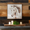 Framed Horse Canvas 24”SQ Canvas/Wood/Plastic