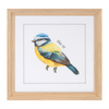 Framed Bird Print (Set of 8) 9.75”SQ MDF/Glass/Paper