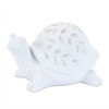Frog and Turtle (Set of 2) 4.5"H, 5.25"H Resin