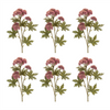 Sedum Spray (Set of 6) 28.5”H Plastic/Polyester
