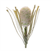 Protea Stem (Set of 2) 28”H Plastic