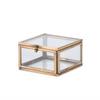 Box (Set of 2) 3"L x 1.75"H, 4"L x 2.5"H Glass/Brass