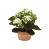 Kalanchoe w/Pot (Set of 4) 7"H Polyester