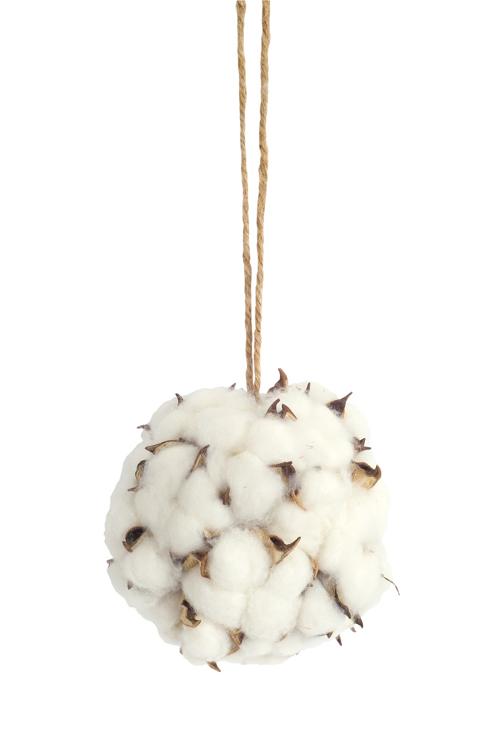 Rhodes Greenhouses Cotton Orb