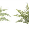 Fern Bush (Set of 12) 16"H Plastic