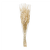 Bunny Tail Bundle (Set of 2) 32.5"H Natural