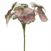 Begonia Leaf (Set of 2) 11.5”H Polyester