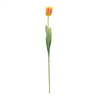 Tulip Stem (Set of 6) 27”H Polyester/Plastic