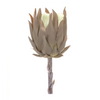 Protea Stem (Set of 6) 20”H Plastic