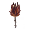 Protea Stem (Set of 6) 20”H Plastic