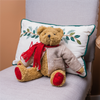 Teddy Bear w/Coat 14”H Polyester