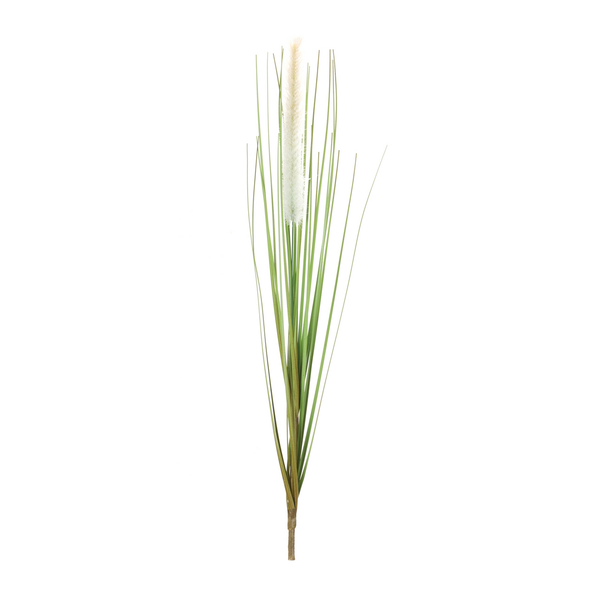 Pvc Rodesar Foxtail Bush (Set of 12) 20”H PVC – Rhodes Greenhouses