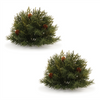 Pine Half Orb (Set of 2) 6.5”D Plastic