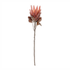 Protea Stem (Set of 2) 29”H Polyester