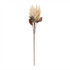 Protea Stem (Set of 2) 29”H Polyester