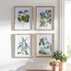 Framed Floral Print (Set of 4) 13.75"L x 17.5"H Wood/MDF/Glass